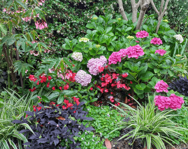 Small Garden Bed