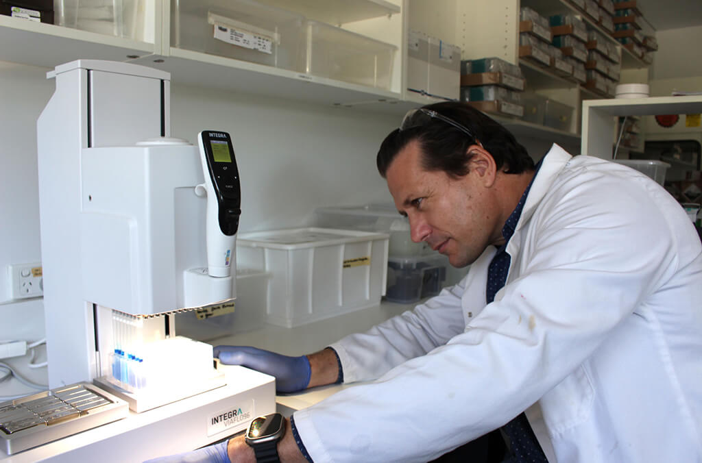 A scientist analyses a plant specimen to detect the destructive micro-organism Phytophthora cinnamomi.