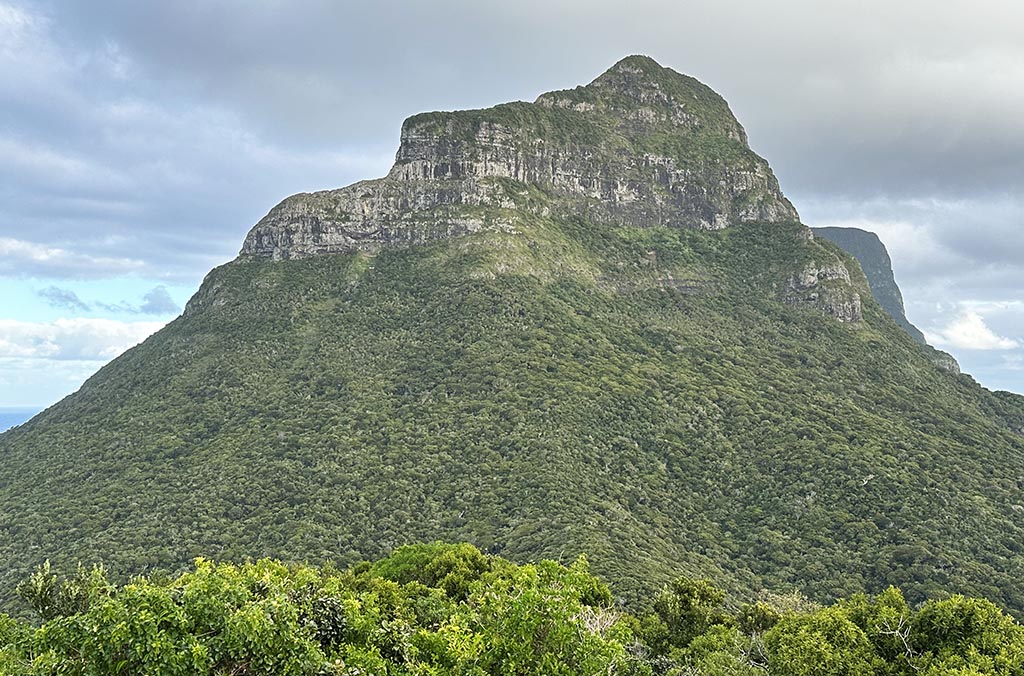 A mountain and rainforest 