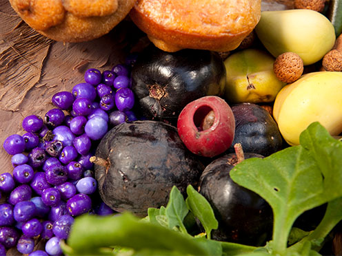 Close up of native food and plants