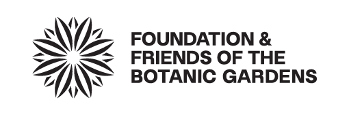 Foundation and Friends new logo 