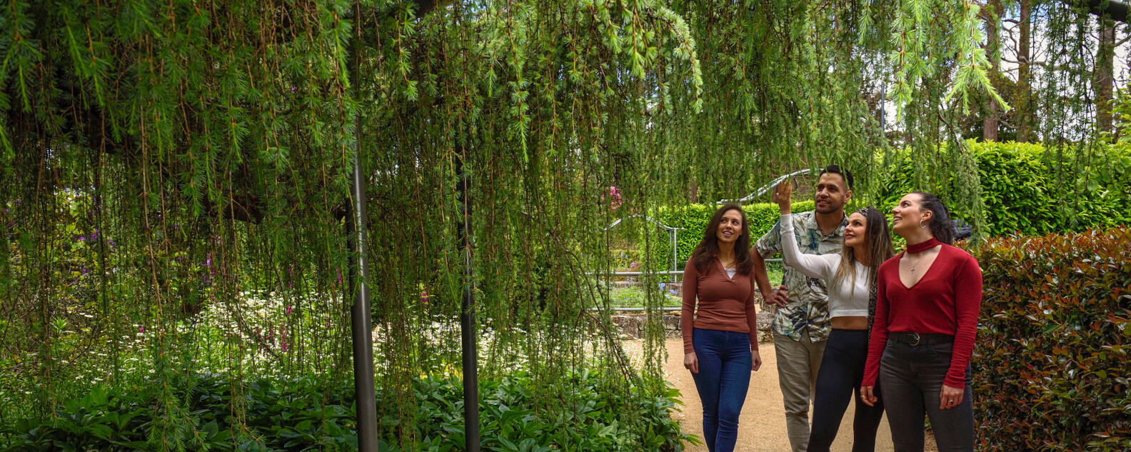 events-family-walking-at-the-garden-1584x633