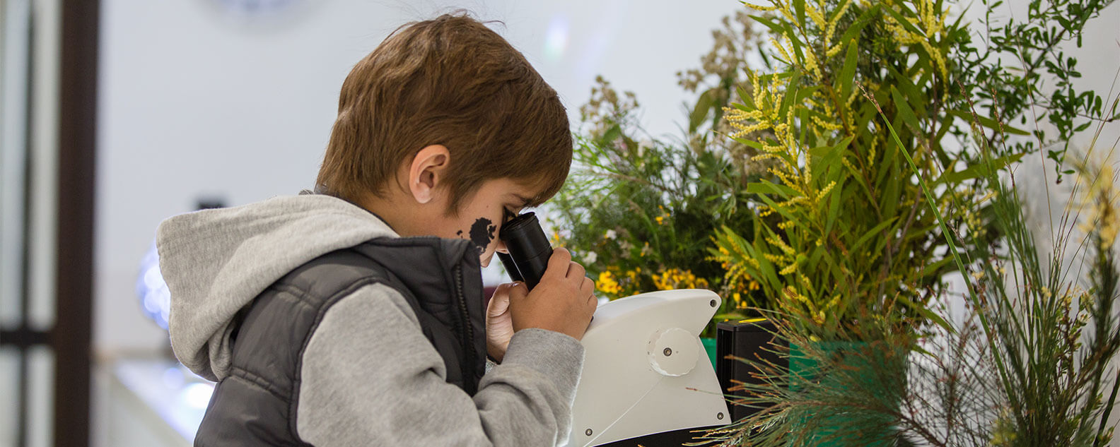 Boy looking through microscope