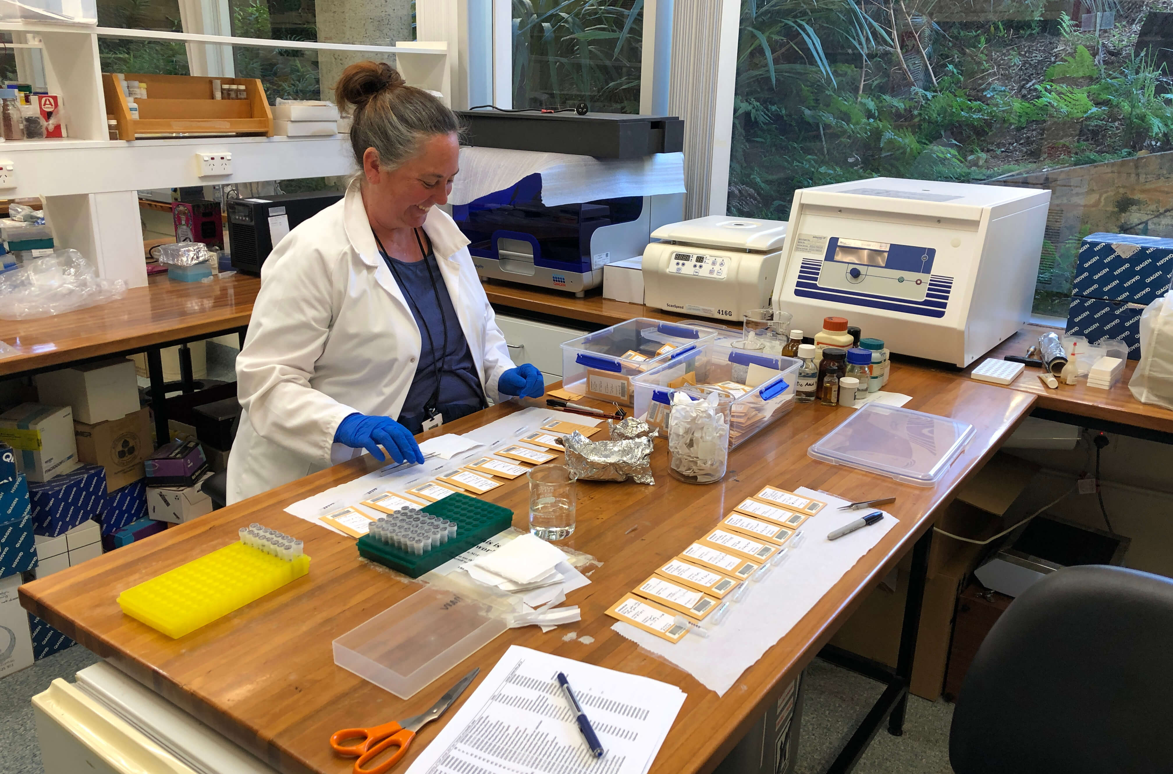 Dr Hannah McPherson prepares plant samples