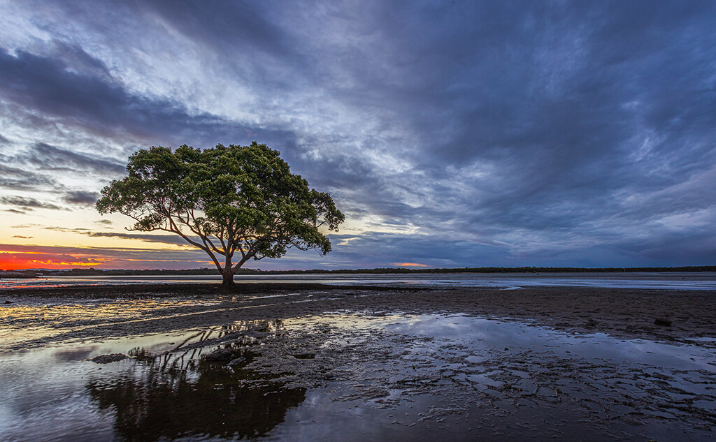 Wetlands