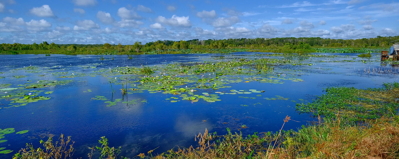 Wetlands