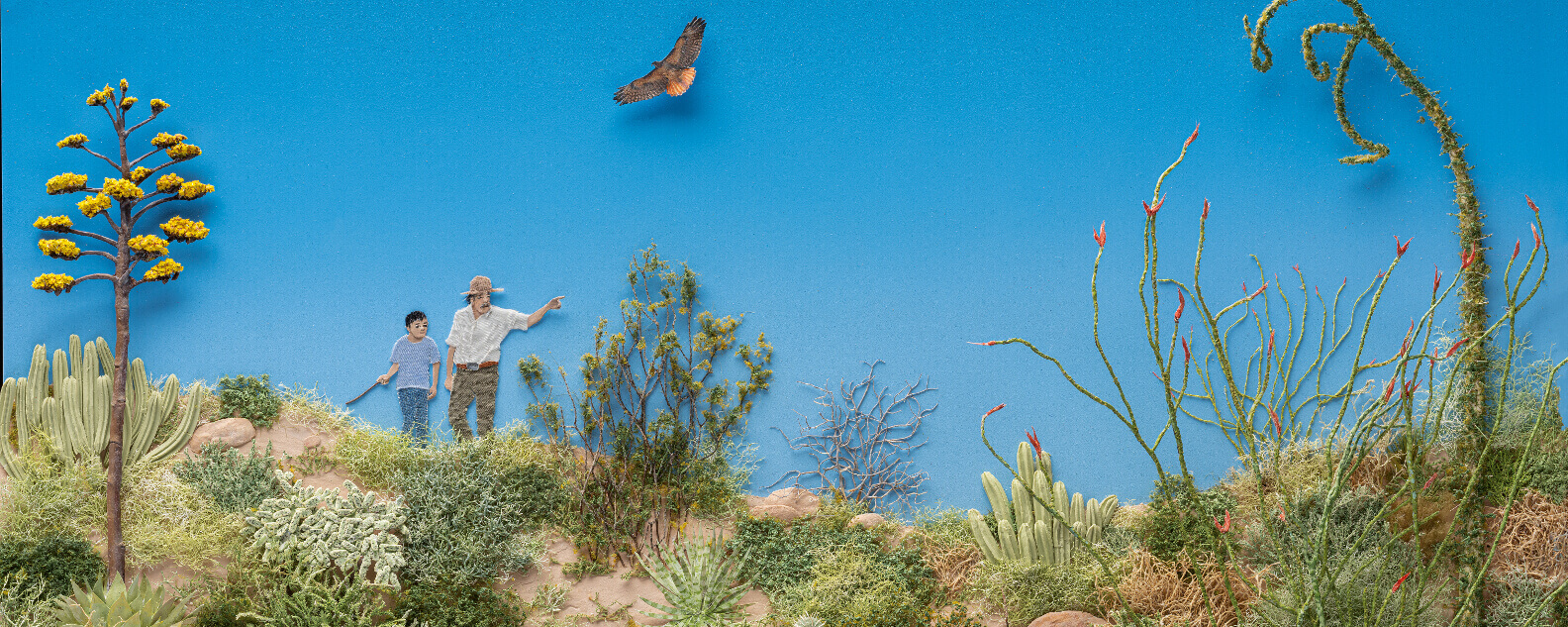 Horticulture-My-desert-jungle-exhibition-1584x633.jpg