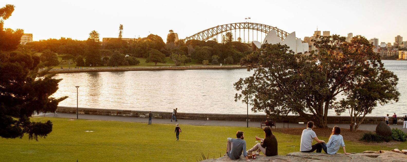 View of Sydney Harbour from the Royal Botanic Garden Sydney