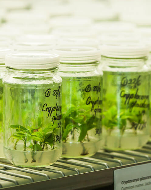 Specimen jars on shelf in laboratory
