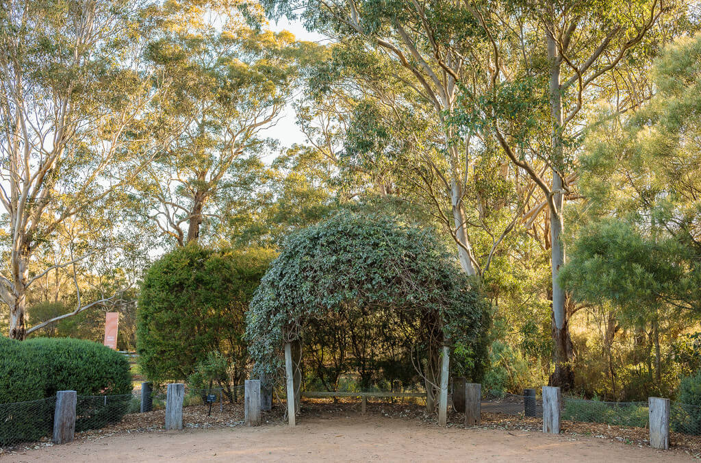 venues-wattle-arbour-1024x676.jpg