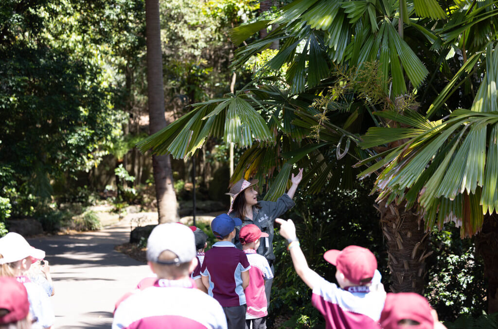Education-excursion-connections-and-country-1024x676.jpg