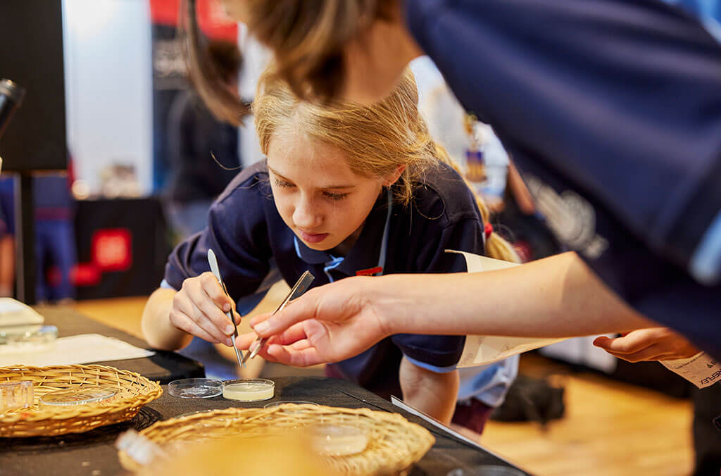 School girl at the Australian Museum using tweezers to add to a petri dish