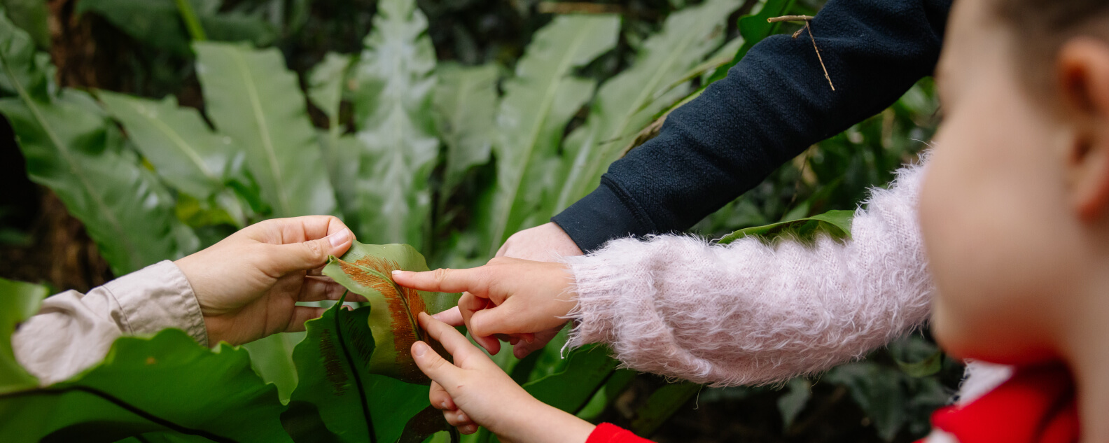 Events-kids-looking-at-plant-bmbg-hero-1584x633.jpg