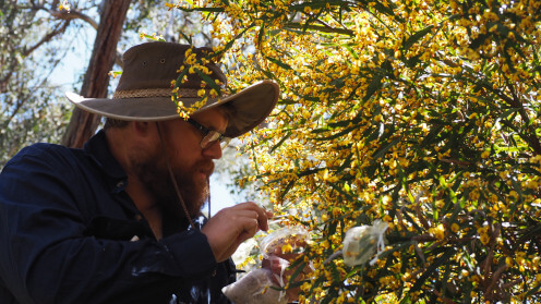 News-Bons-picking-flowers-close-thumbnail-496x372.JPG