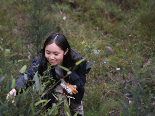 A woman in a bush reaching out to a leaf