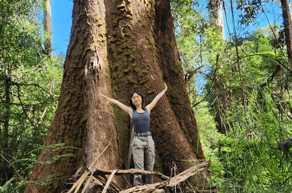 A woman standing in front of a tree with her hands up
