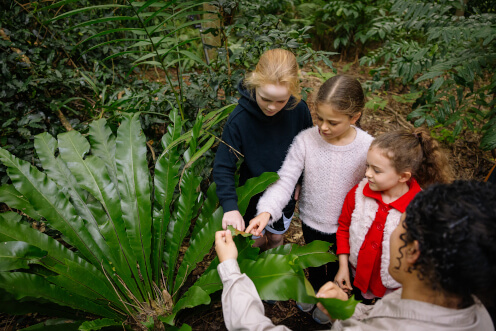 events-kids-looking-at-plant-thumbnail-496x372.jpg