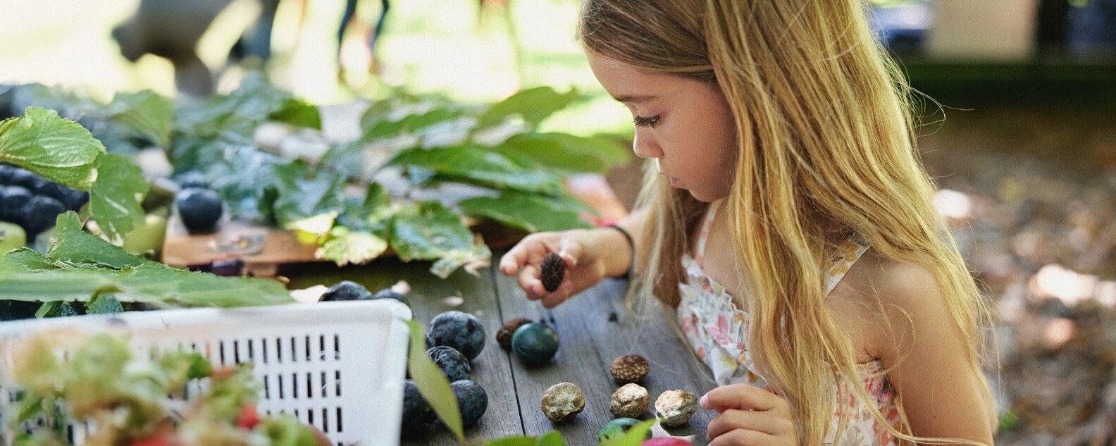 Development-Child-playing-with-figs-website banner-1584x633.jpg