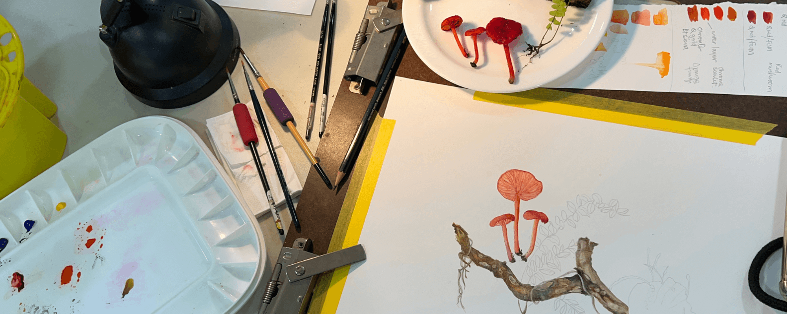 Fungi Painting