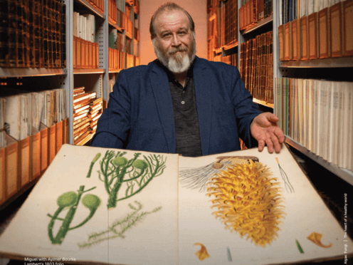 Miguel in Daniel Solander Library