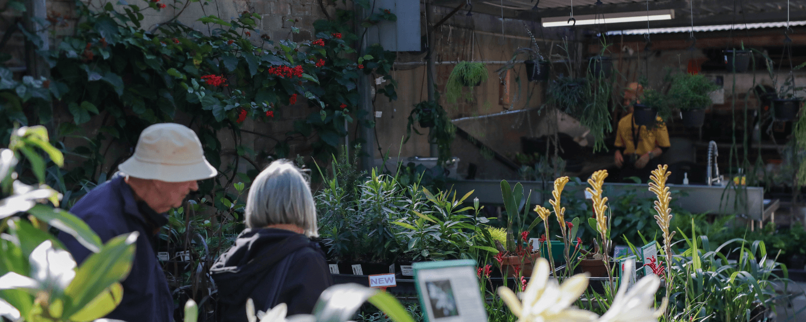 people buying plants