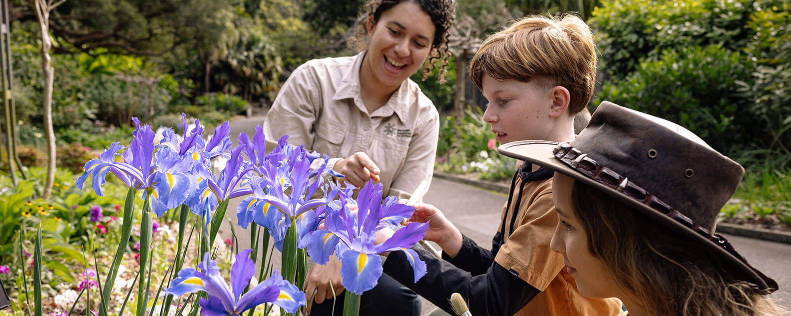 Friends of the Flowers Native Bees Workshop Mount Annan