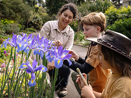 Friends of the Flowers Native Bees Workshop Mount Annan