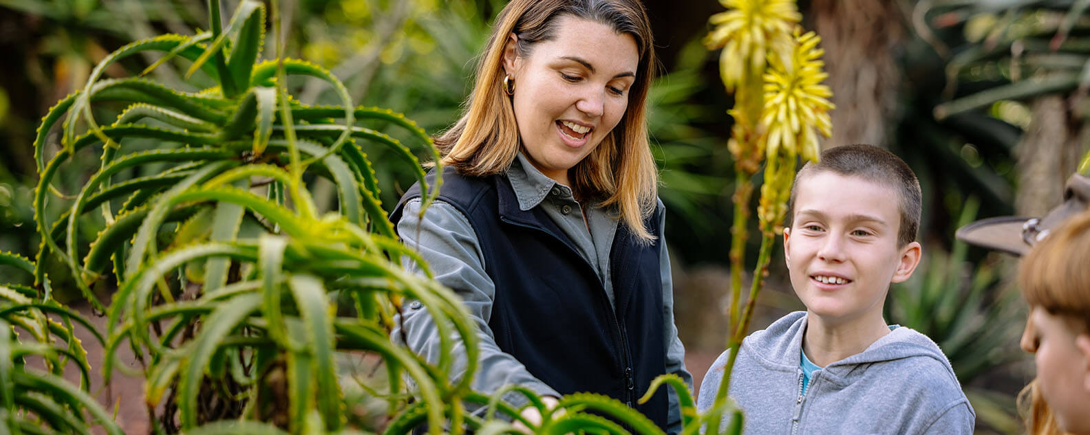 Friends of the Flowers Native Bees Workshop Mount Tomah