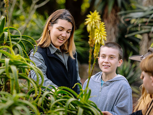 Friends of the Flowers Native Bees Workshop Mount Tomah