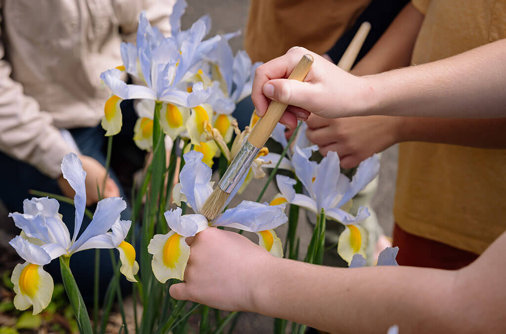 Friends of the Flowers Native Bees Workshop Mount Tomah