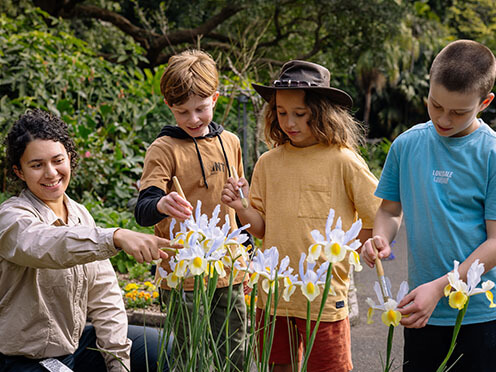 Friends of the Flowers Native Bees Workshop Sydney