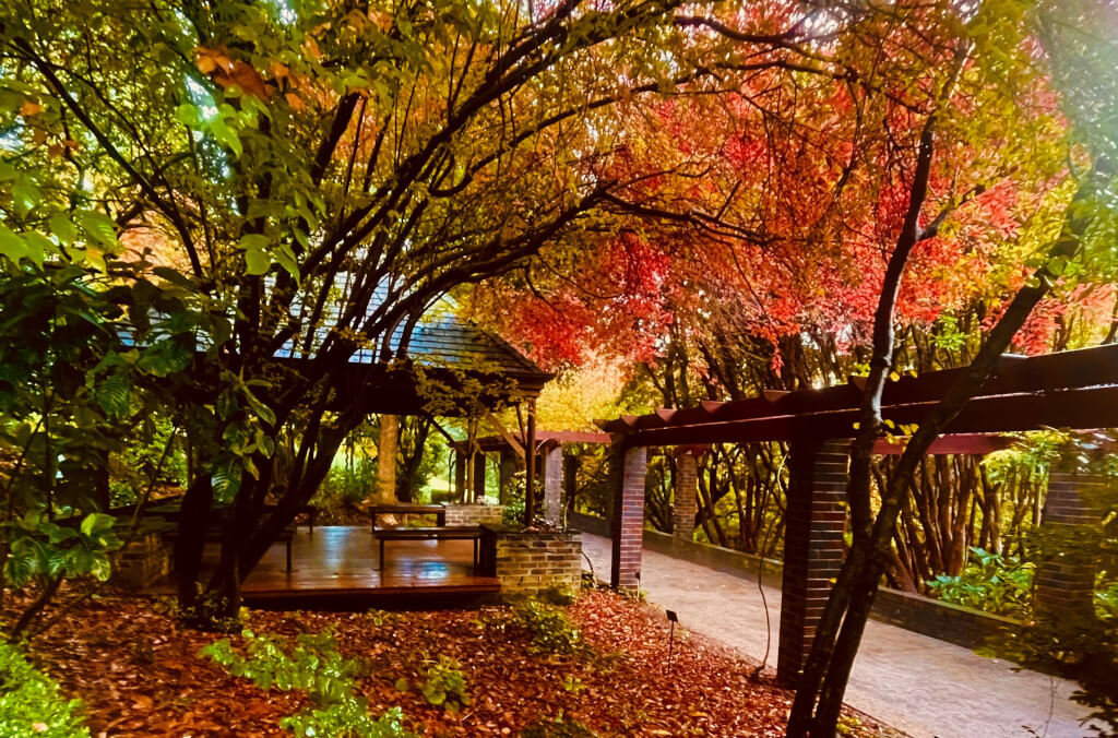 Venues-bmbg-Brunet-Pavilion-autumn-1024x676.jpg