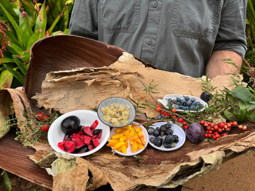 events-First-Nations-Aboriginal-Bush-Tucker-tour-thumbnail-496x372.jpg