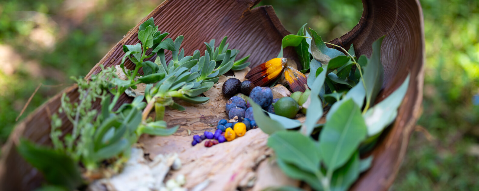 events-bushtucker-tour-hero-banner-1584x633.jpg