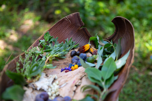 events-bushtucker-tour-thumbnail-496x372.jpg
