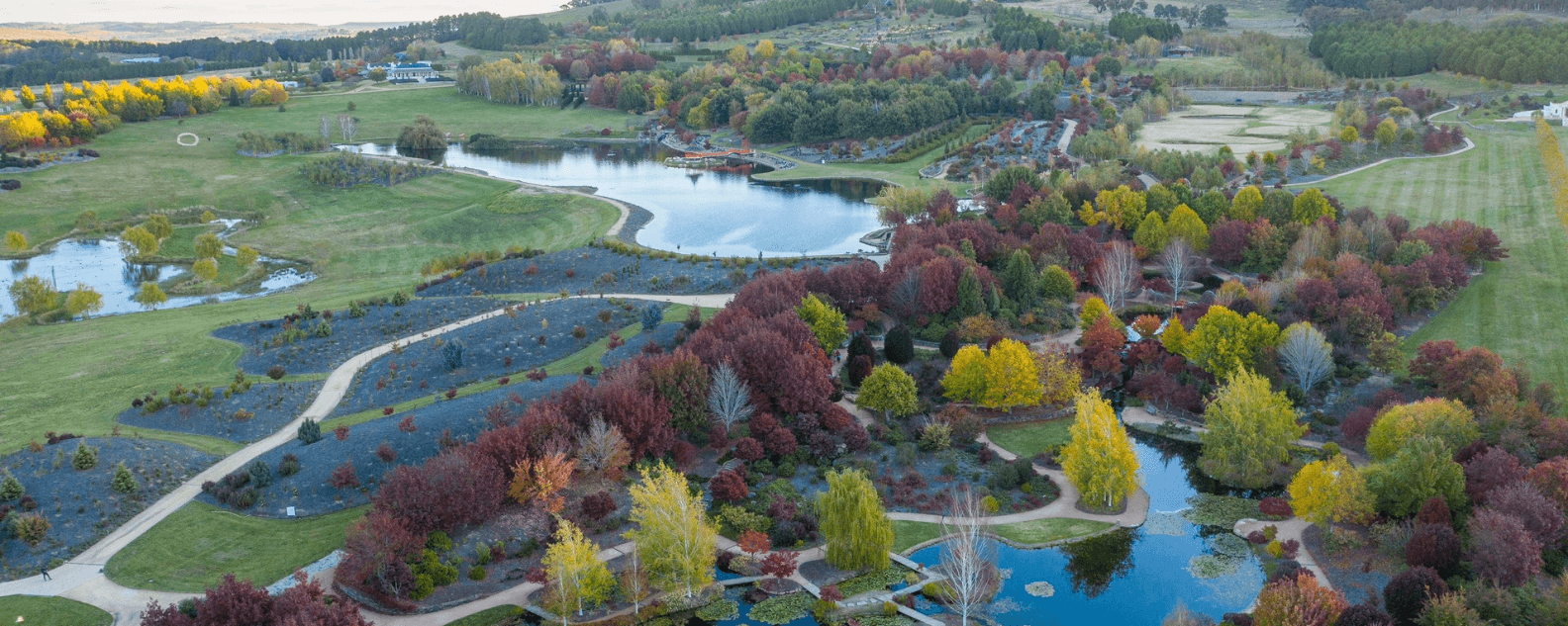 Mayfield Gardens, Oberon