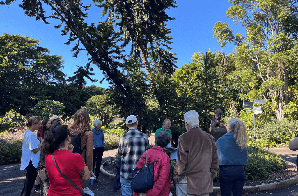 A group on a volunteer guided walk stopped in front of a Wollemi Pine