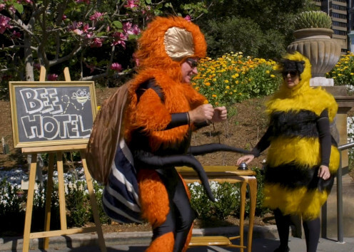 events-the-bees-knees-theatre-thumbnail-496x372.jpg