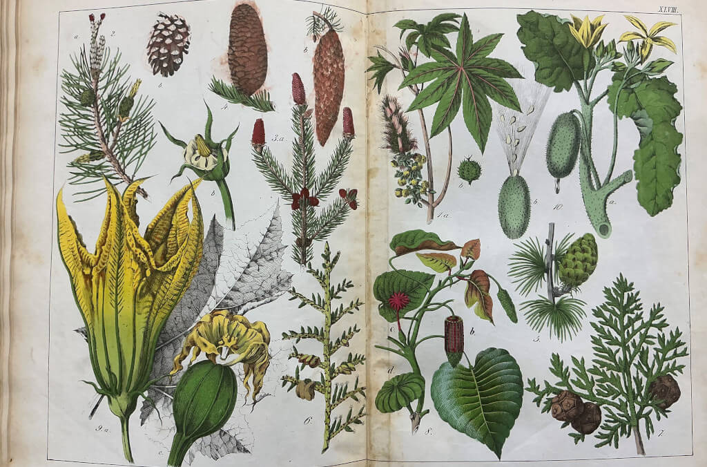 event-rare-book-event-in-page-1024x676.jpg
