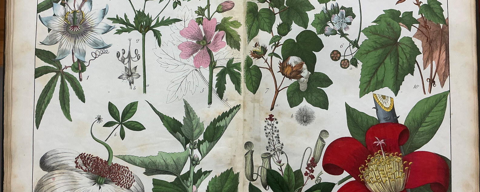 event-rare-book-hreo-banner-1584x633.jpg