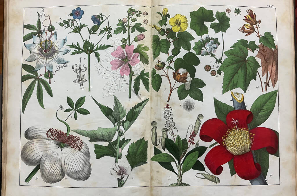 event-rare-book-thumbnail-496x372.jpg