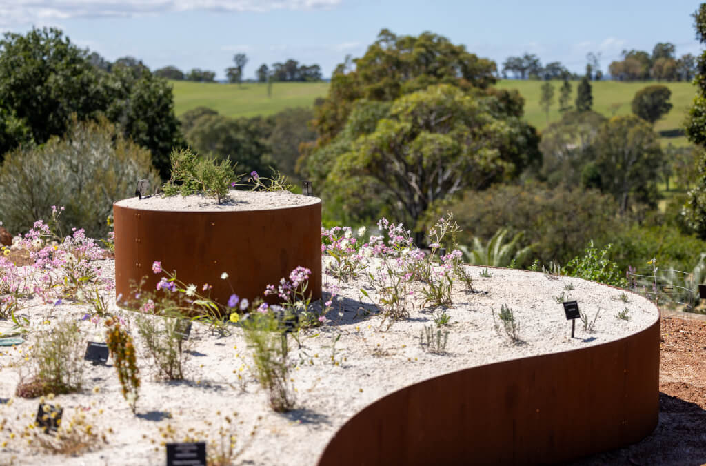 visit-arid-garden-in-page-1024x676.jpg