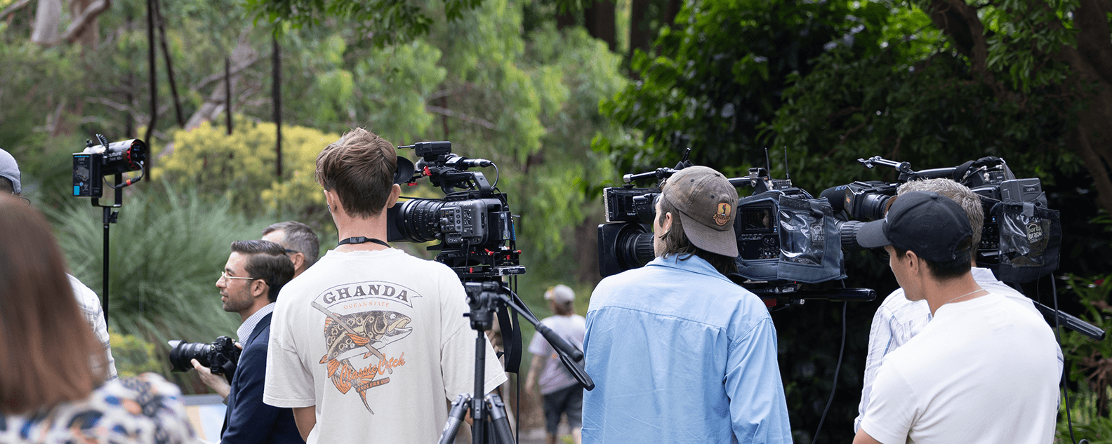 Assorted cameras at Putricia-Banner-1584x633