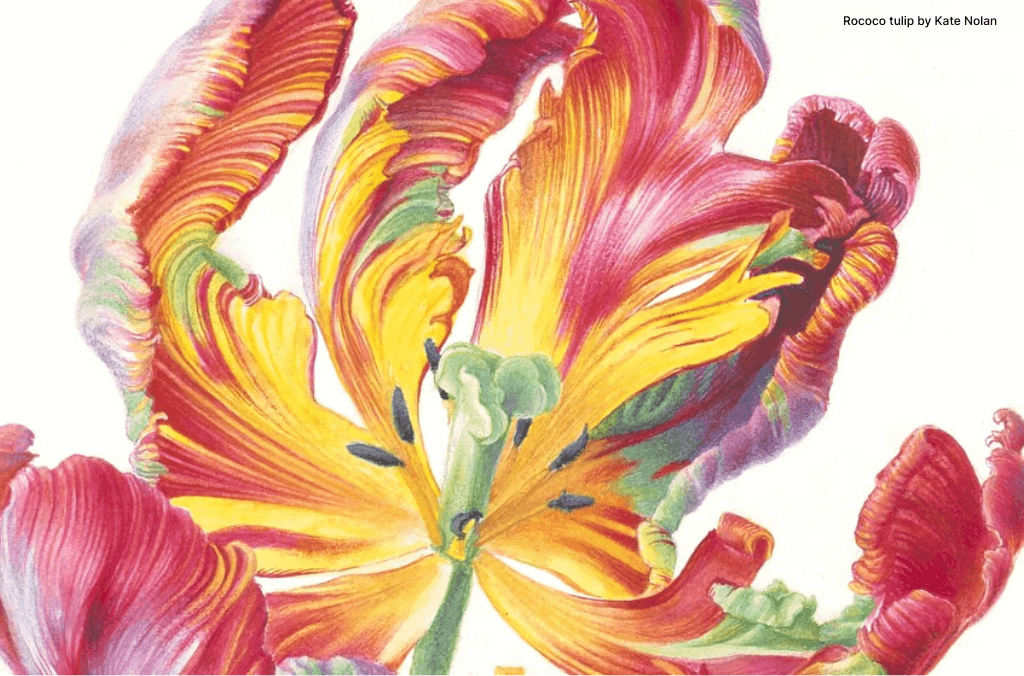 Sculptural orbs on branches