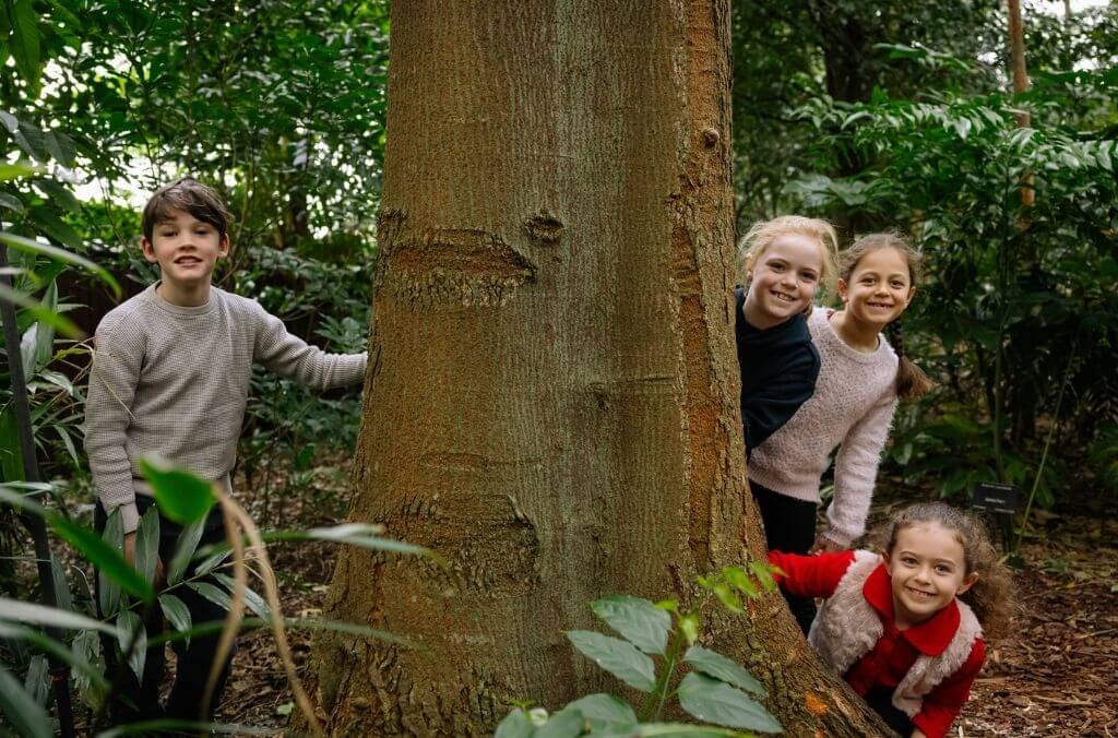 Kids in a tropical rainforest garden, peering out from behind a tree