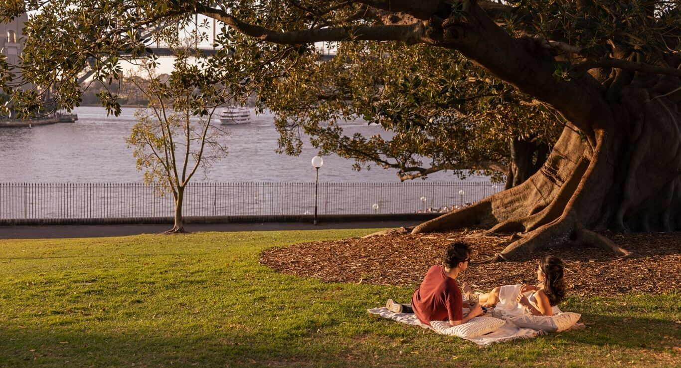 Couple picnicking on lush lawn, under a fig tree, overlooking harbour