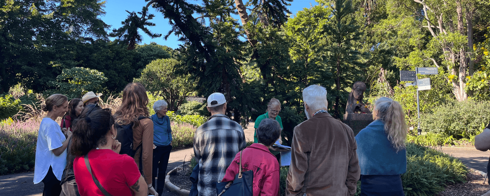 Group guided walk in front of Wollemi Pine