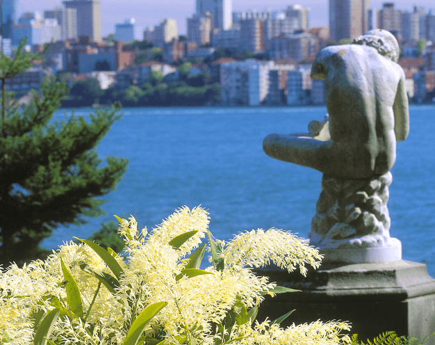 The Boy With the Thorn sculpture with cream Grevillea in front