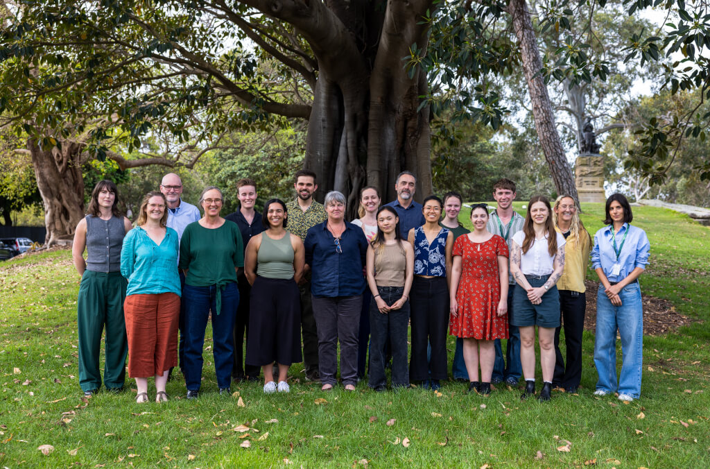 White waratah flower. Credit: Glenn Smith