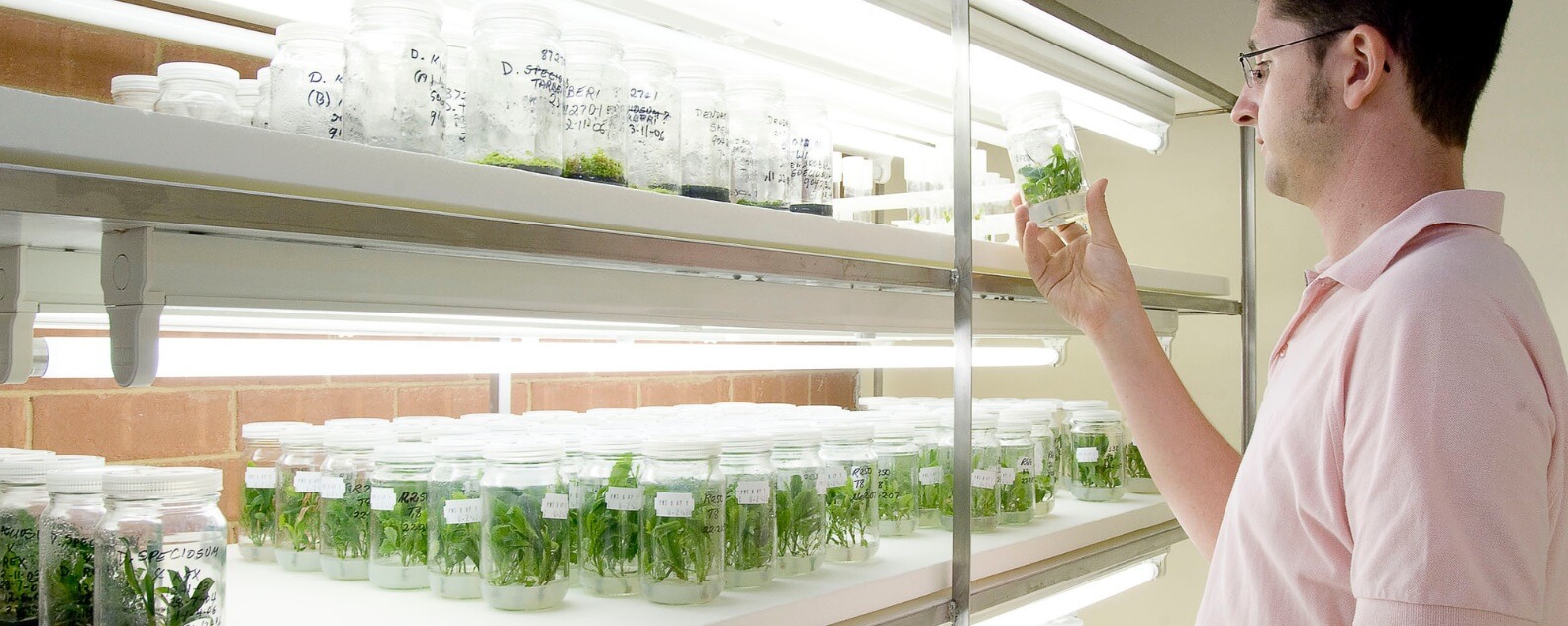 Events-F&F-Talking-Plants-with -Tim-Entwisle-Hero-banner1584x633